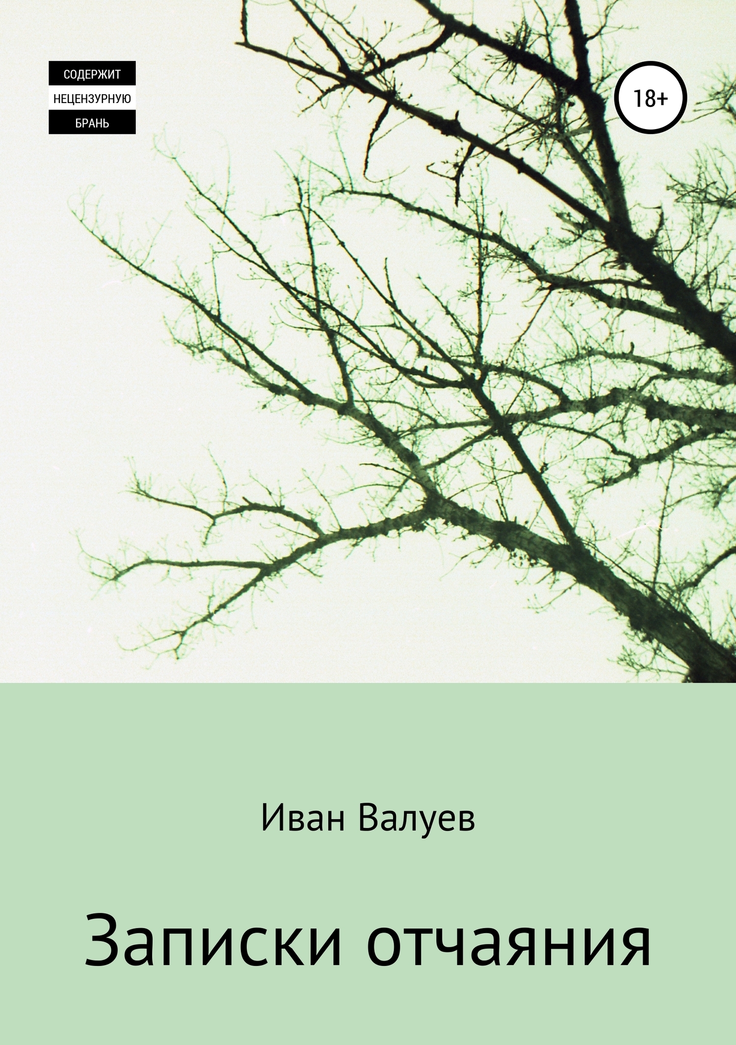 Обложка книги «Записки отчаяния»