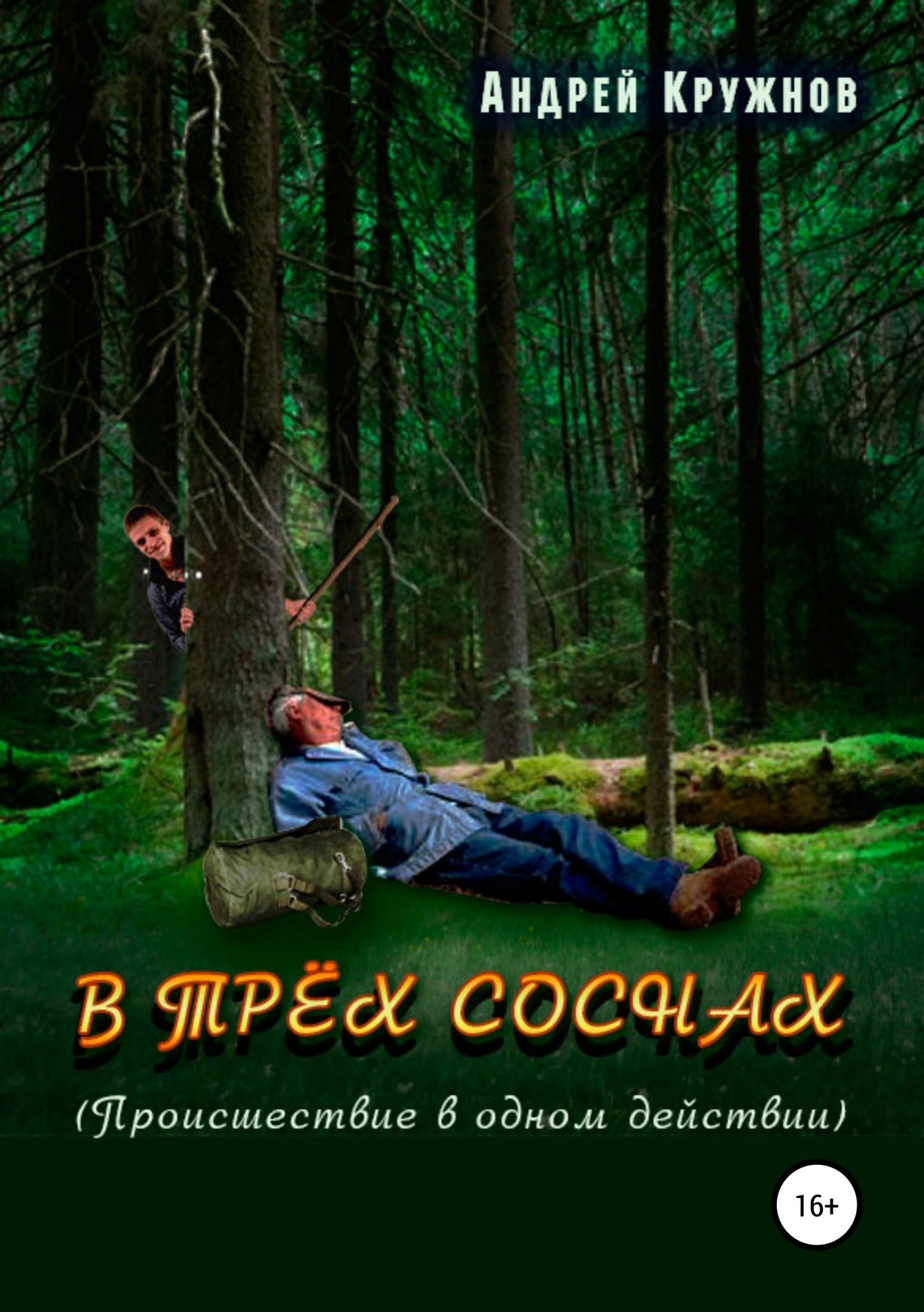 Обложка книги «В трёх соснах»