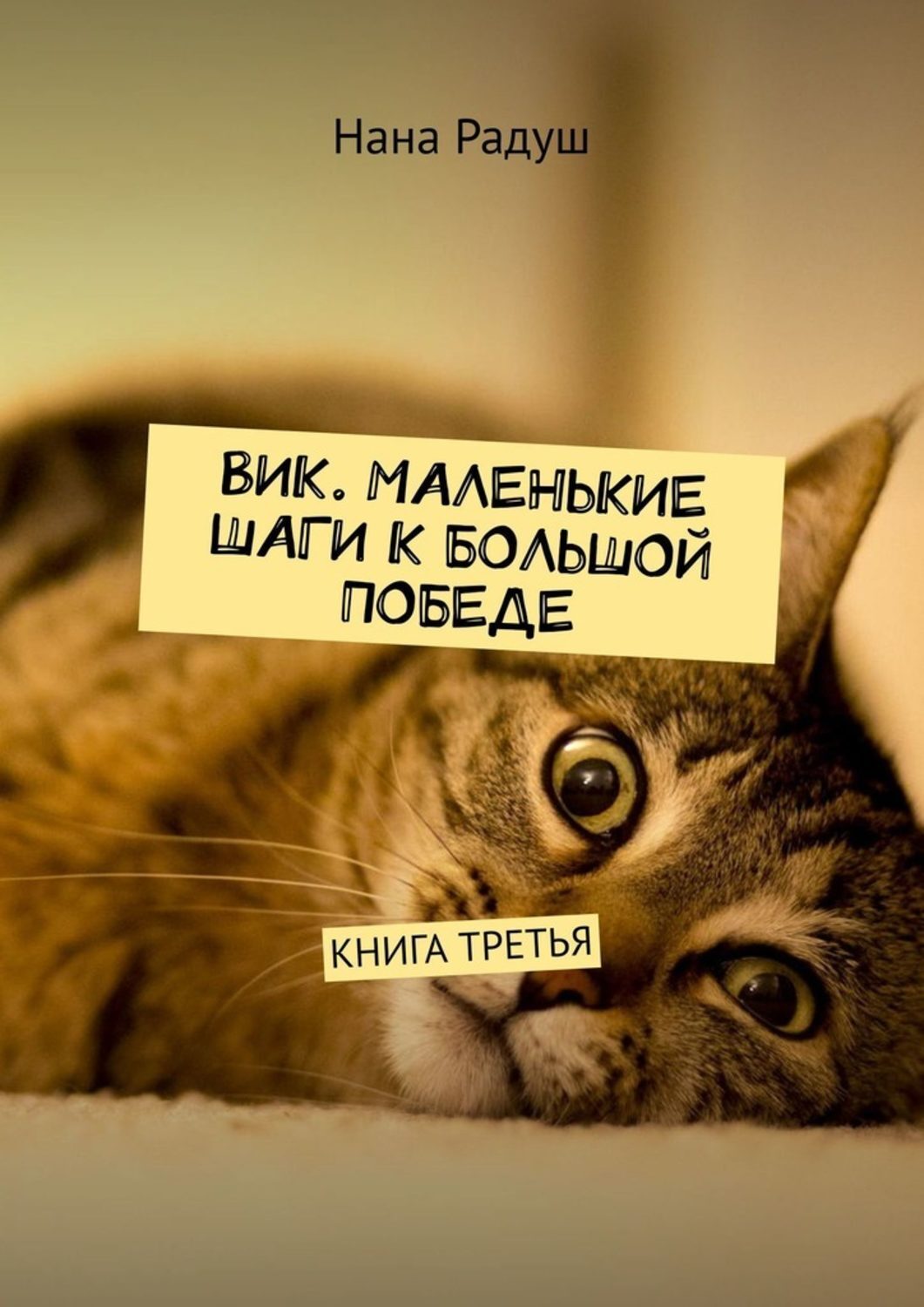 Обложка книги «Вик. Маленькие шаги к большой победе. Книга третья»