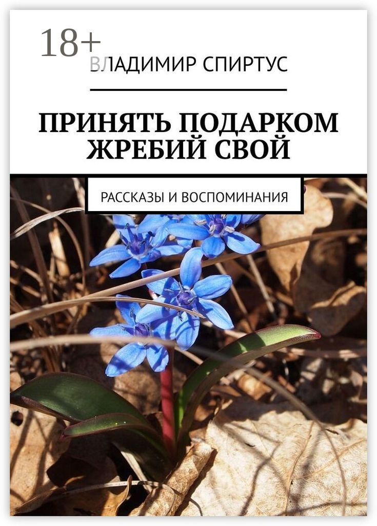 Обложка книги «Принять подарком жребий свой. Рассказы и воспоминания»