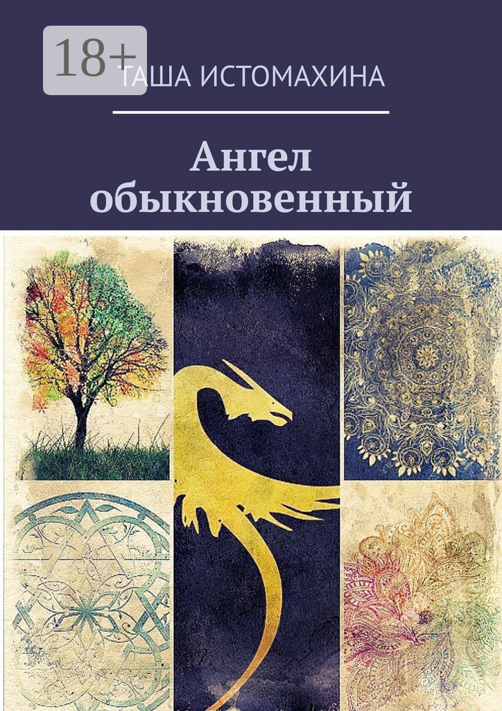 Обложка книги «Ангел обыкновенный»