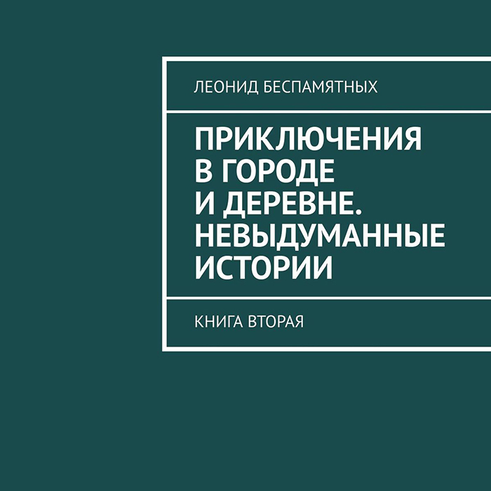 Обложка книги «Приключения в городе и деревне. Невыдуманные истории. Книга вторая»