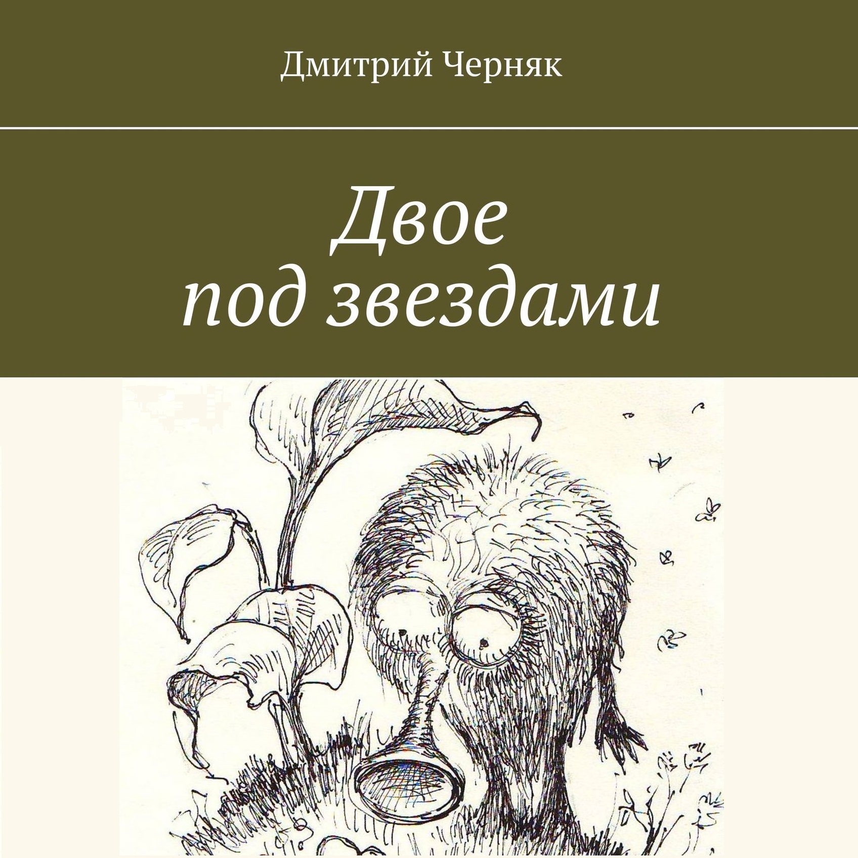 Обложка книги «Двое под звездами»