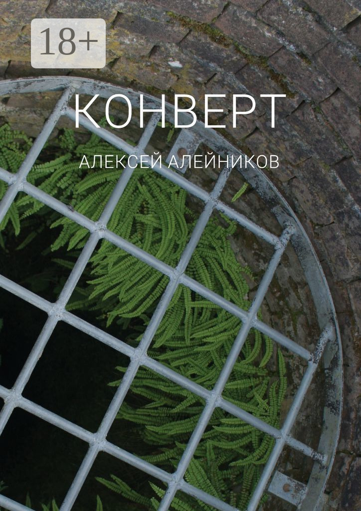 Обложка книги «Конверт»
