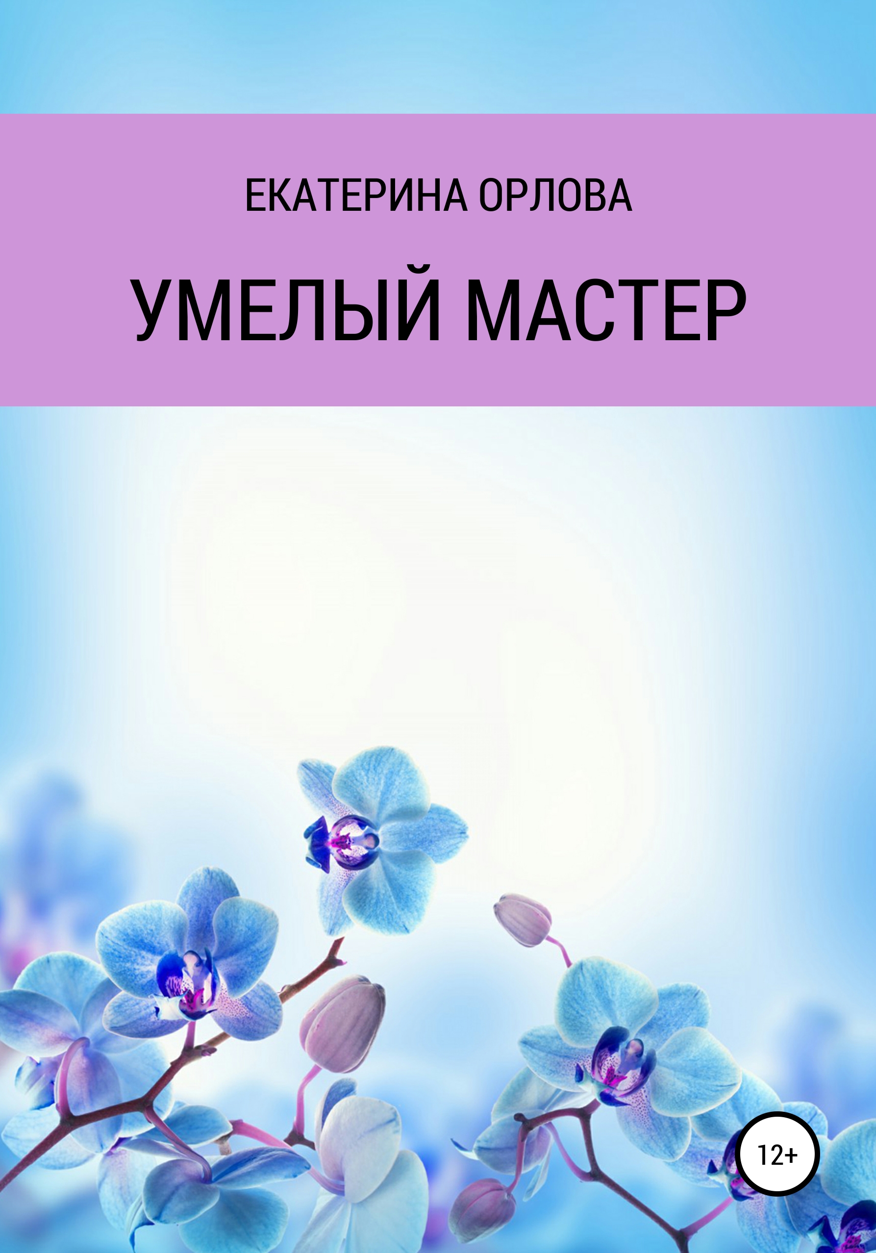 Обложка книги «Умелый мастер»