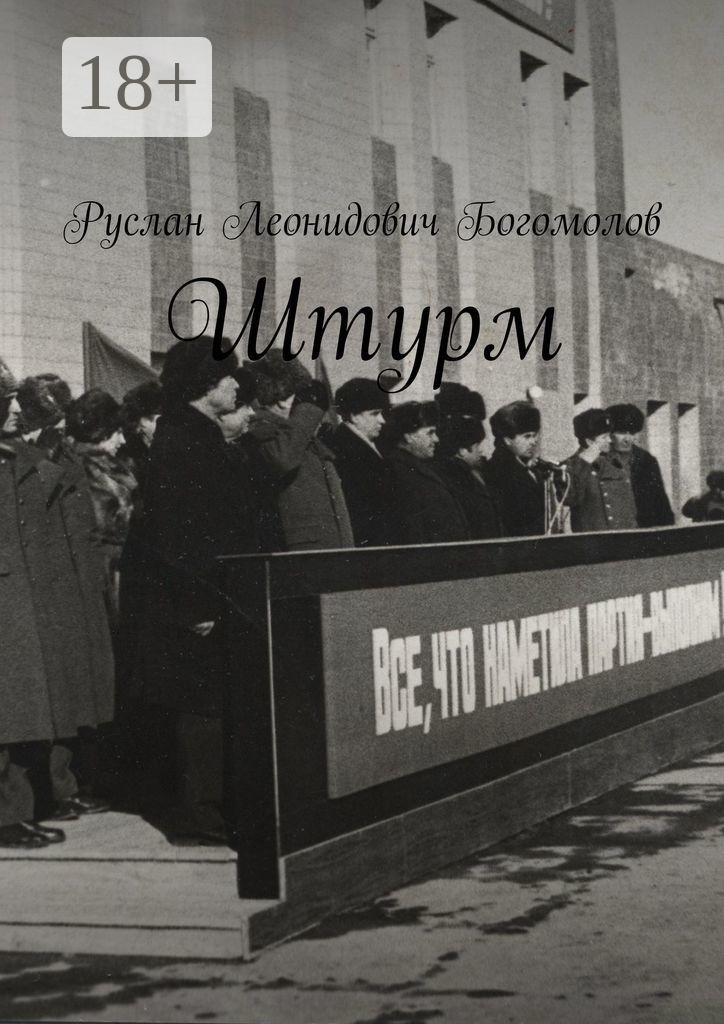 Обложка книги «Штурм»