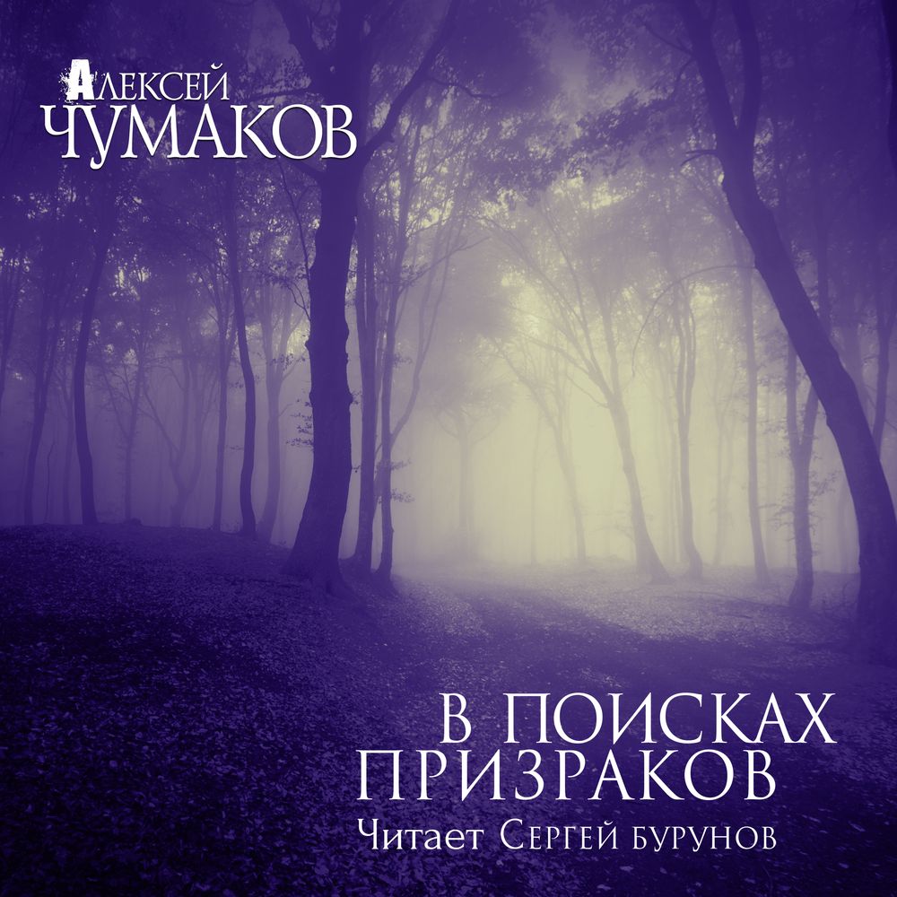 Обложка книги «В поисках призраков»