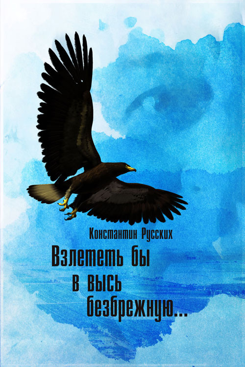 Обложка книги «Взлететь бы в высь безбрежную: Стихи и песни»