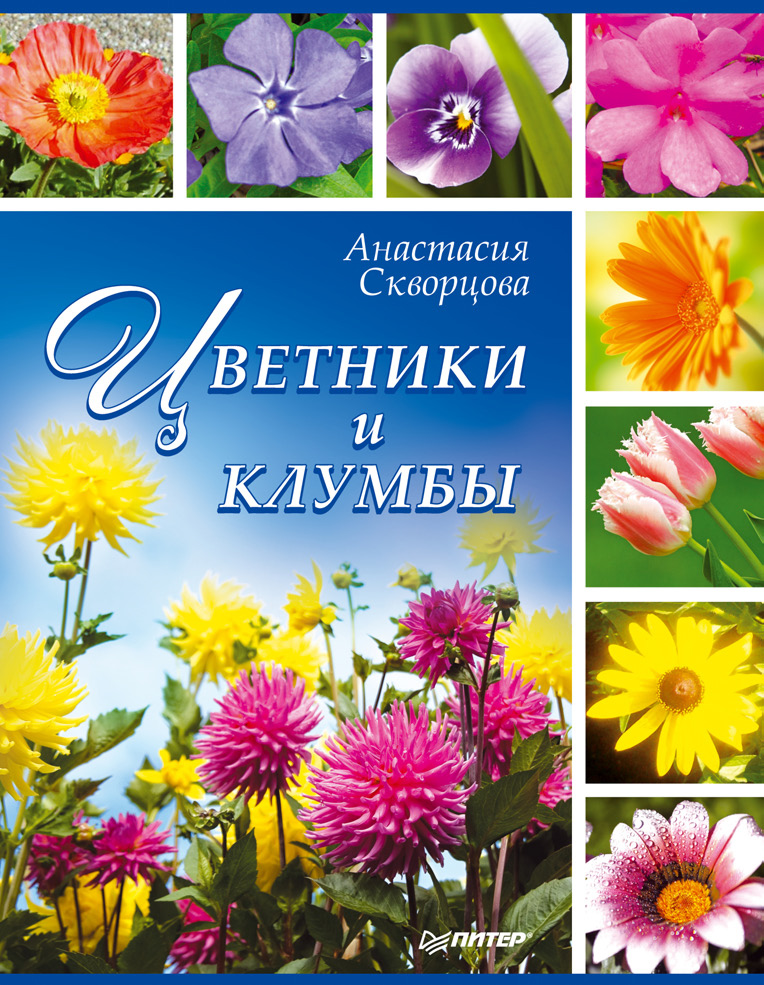 Обложка книги «Цветники и клумбы»