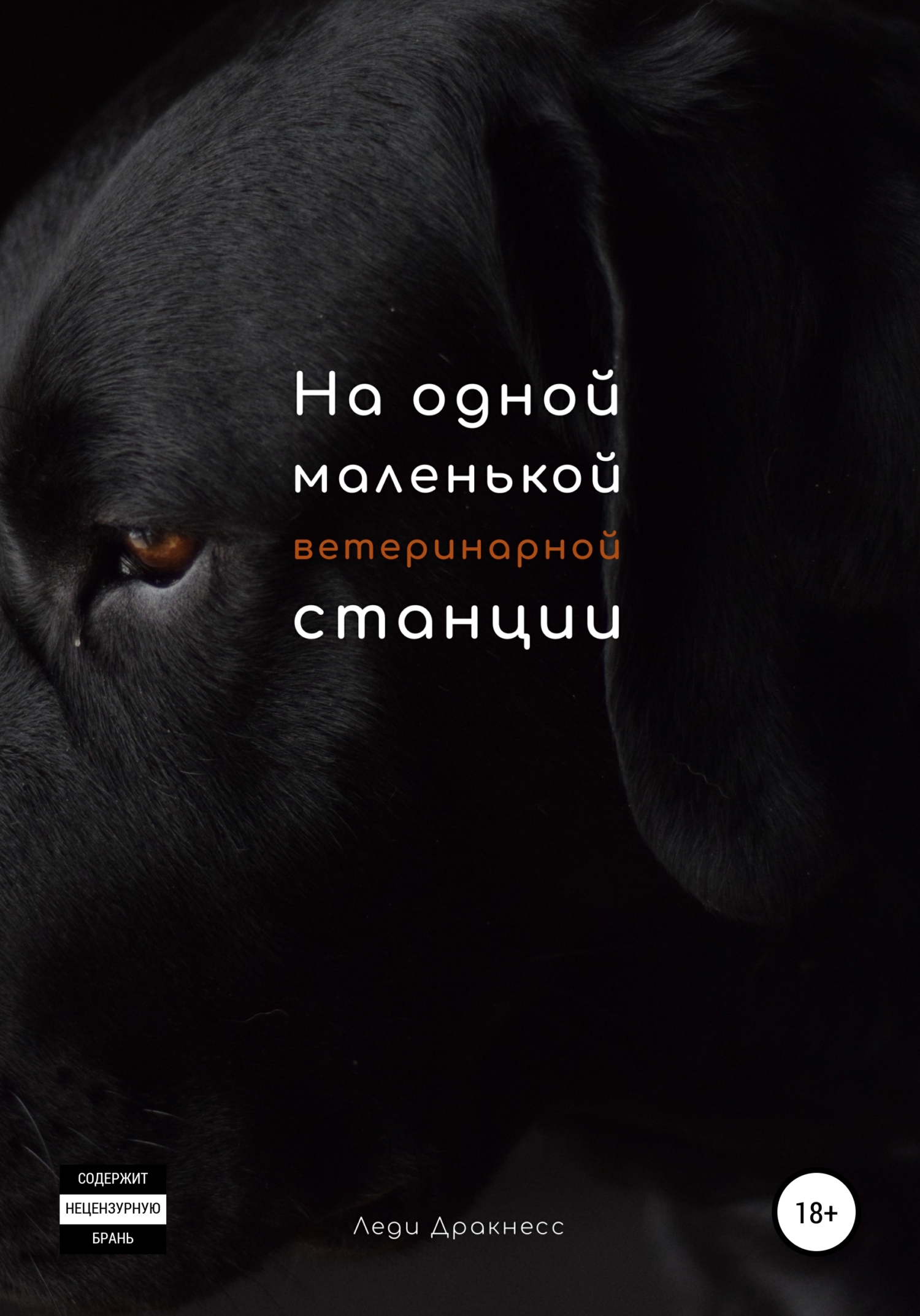 Обложка книги «На одной маленькой ветеринарной станции»