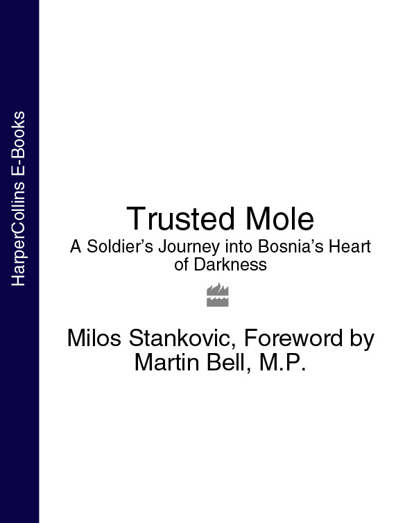 Обложка книги «Trusted Mole: A Soldier’s Journey into Bosnia’s Heart of Darkness»