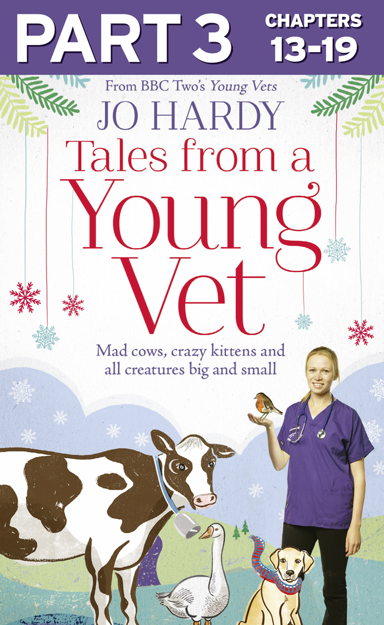 Обложка книги «Tales from a Young Vet: Part 3 of 3: Mad cows, crazy kittens, and all creatures big and small»