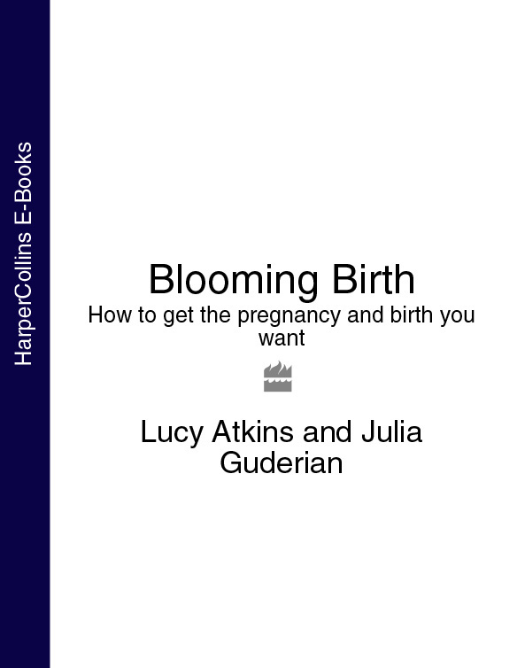 Обложка книги «Blooming Birth: How to get the pregnancy and birth you want»