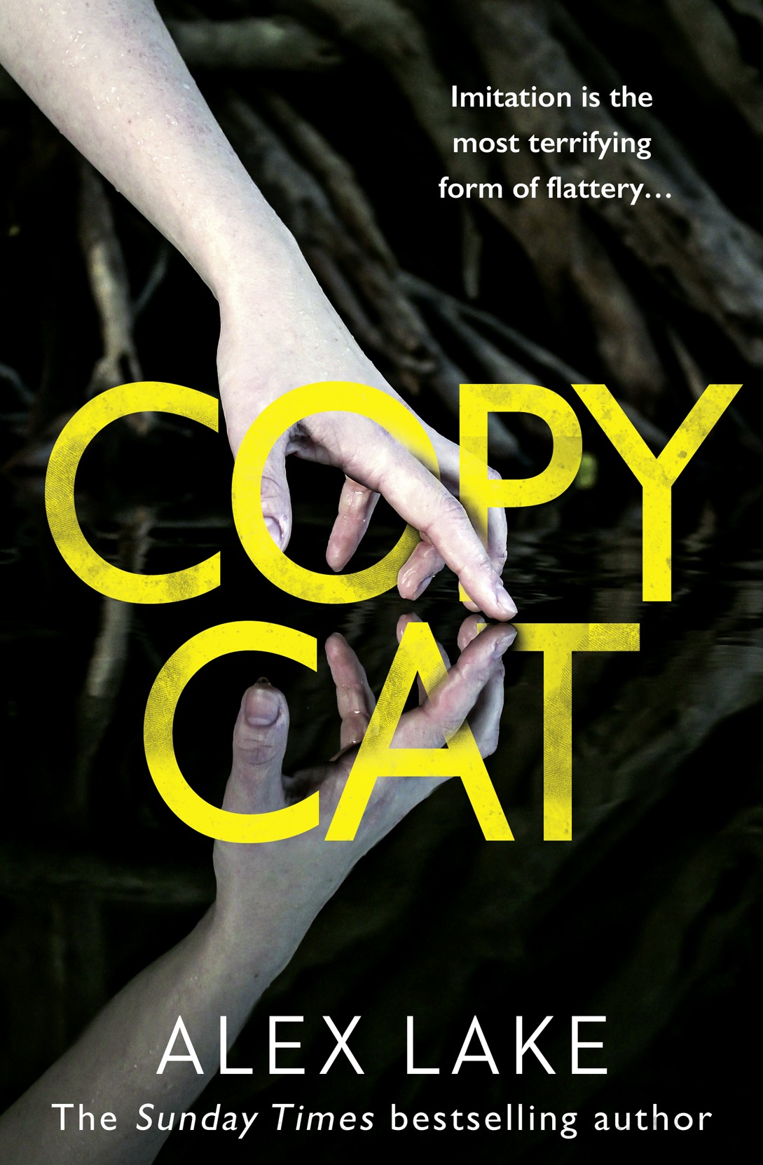 Обложка книги «Copycat: The unputdownable new thriller from the bestselling author of After Anna»