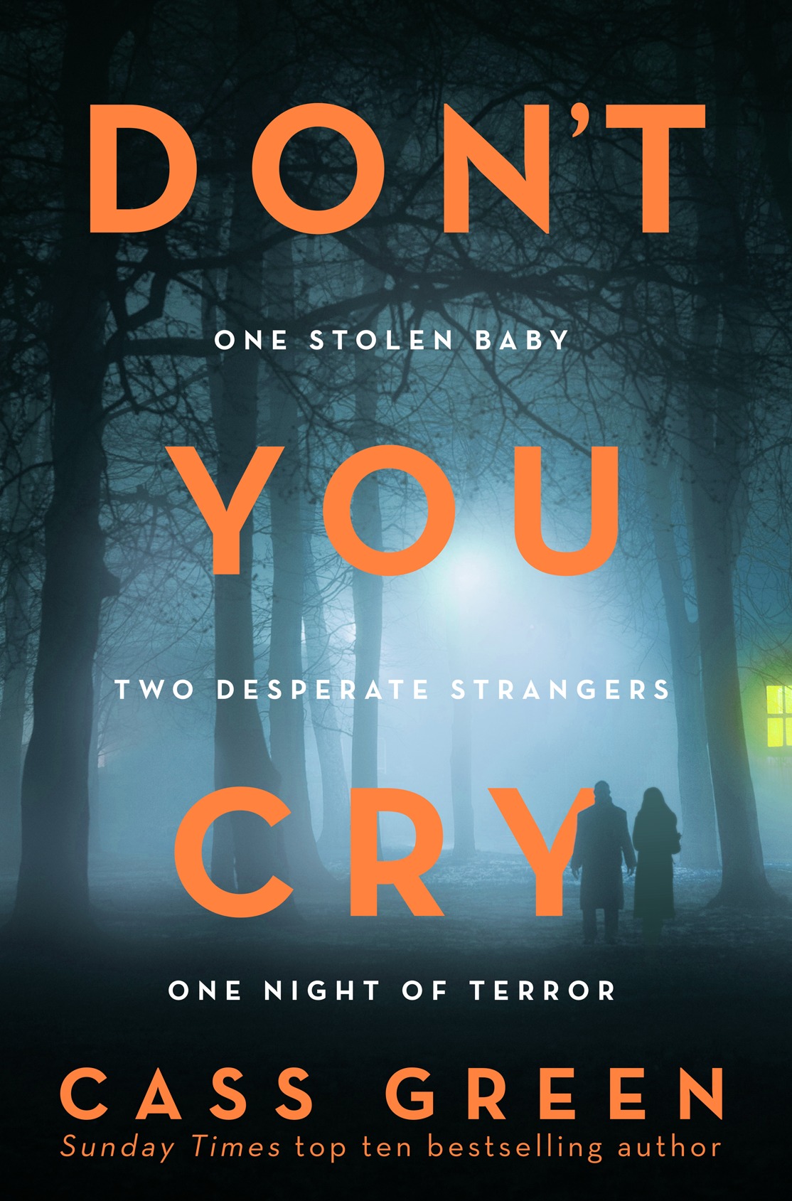 Обложка книги «Don’t You Cry: The gripping new psychological thriller from the bestselling author of In a Cottage in a Wood»