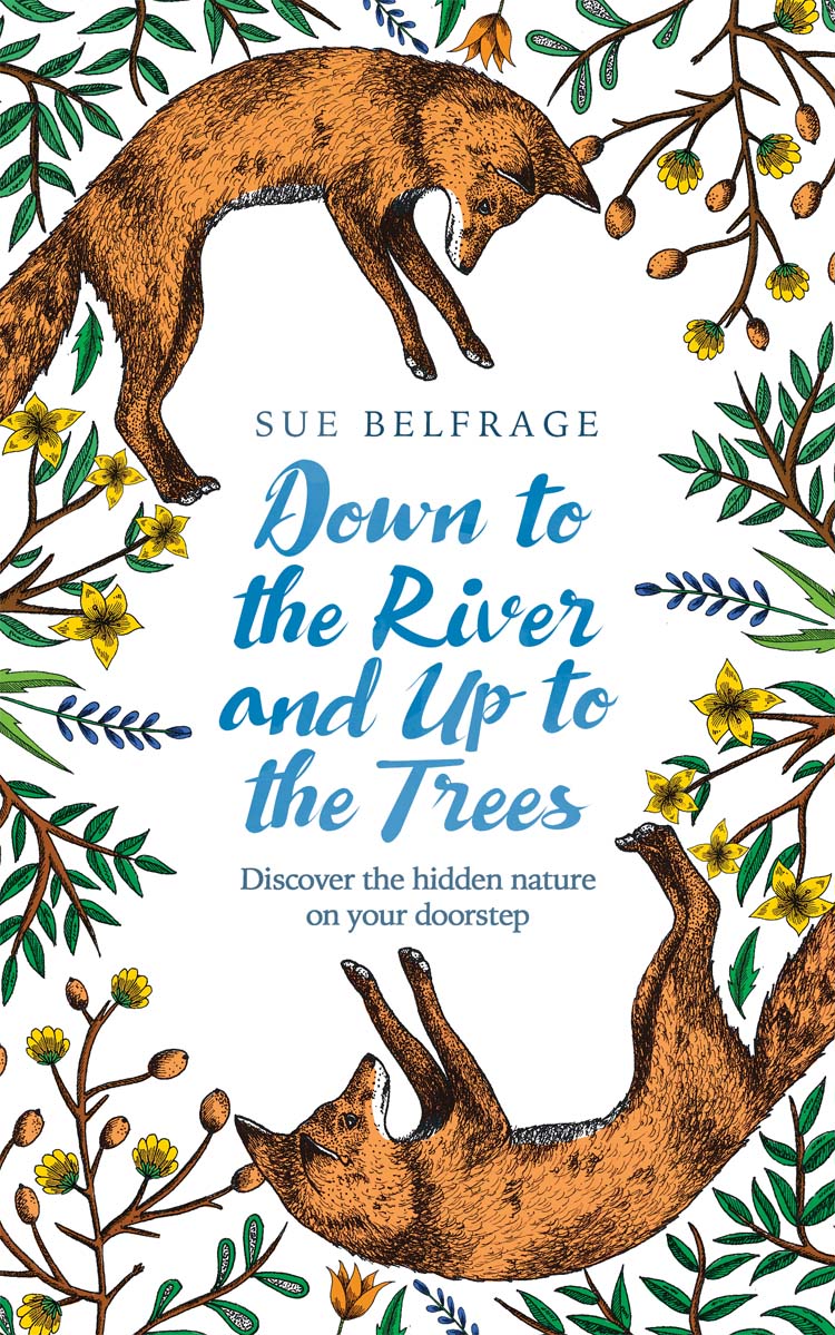 Обложка книги «Down to the River and Up to the Trees: Discover the hidden nature on your doorstep»