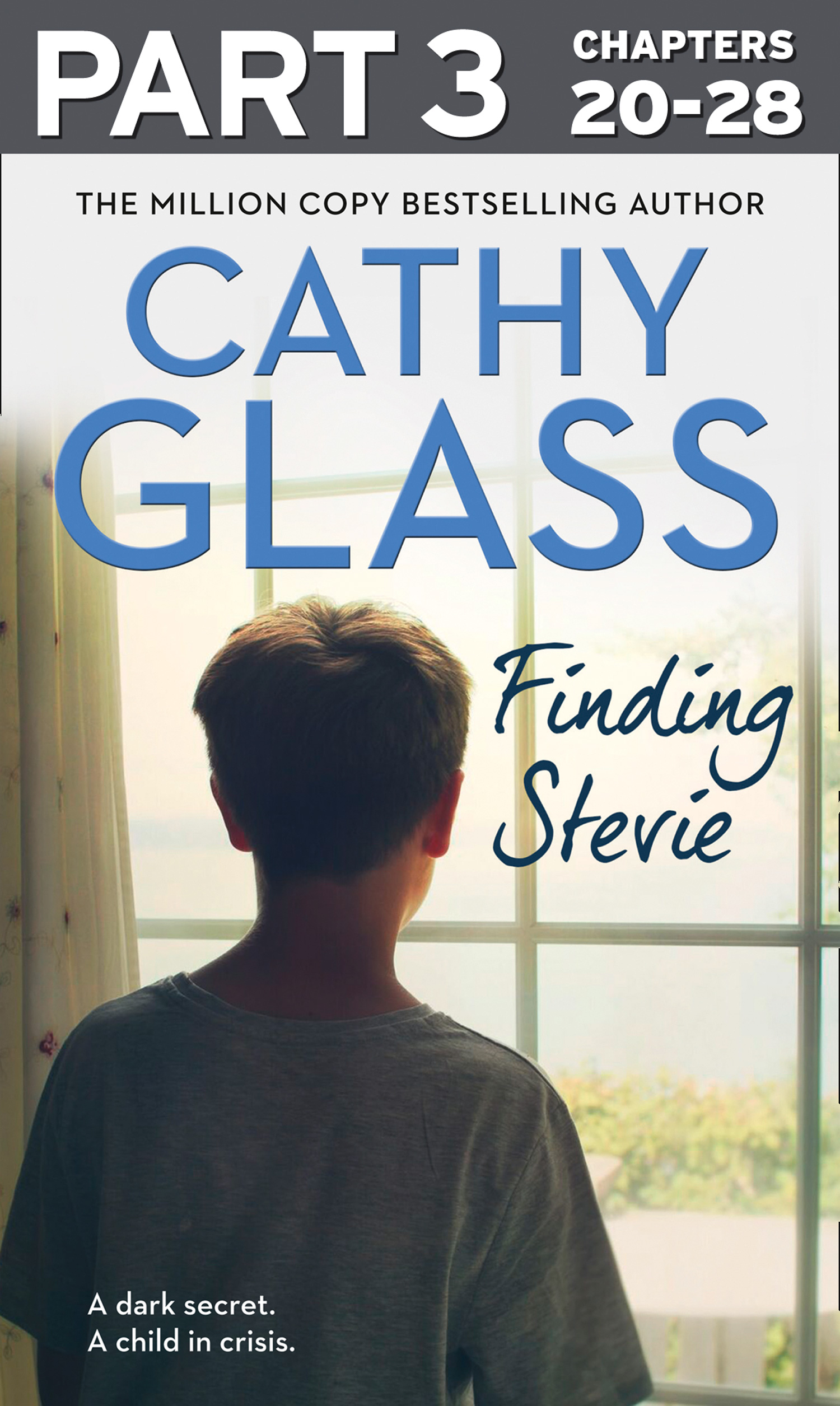 Обложка книги «Finding Stevie: Part 3 of 3: A teenager in crisis»