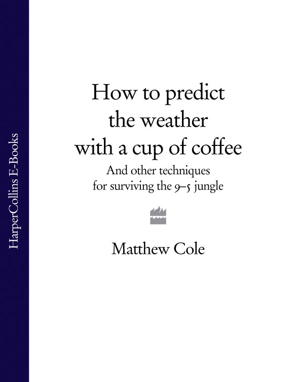 Обложка книги «How to predict the weather with a cup of coffee: And other techniques for surviving the 9–5 jungle»