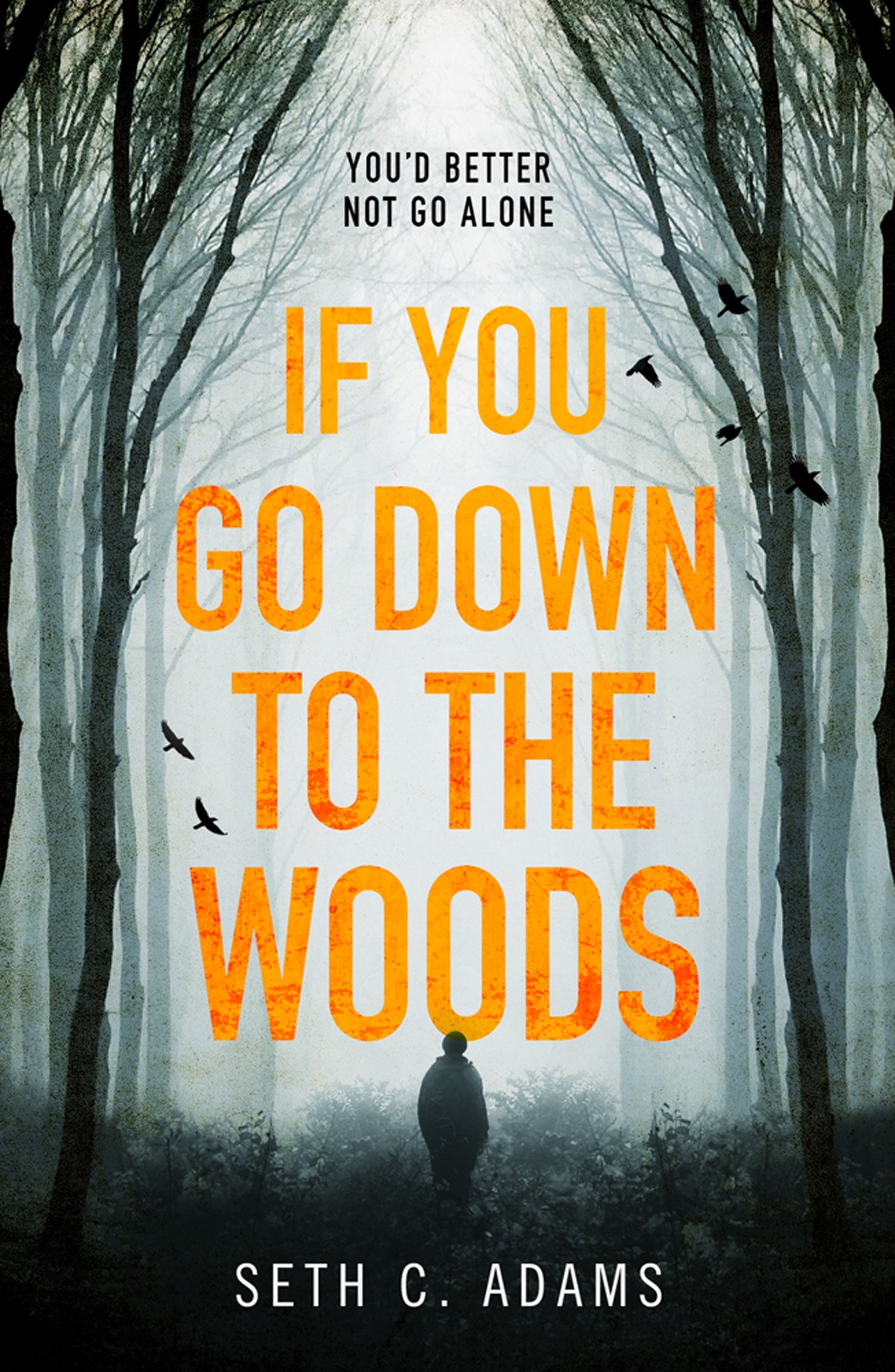 Обложка книги «If You Go Down to the Woods: The most powerful and emotional debut thriller of 2018!»