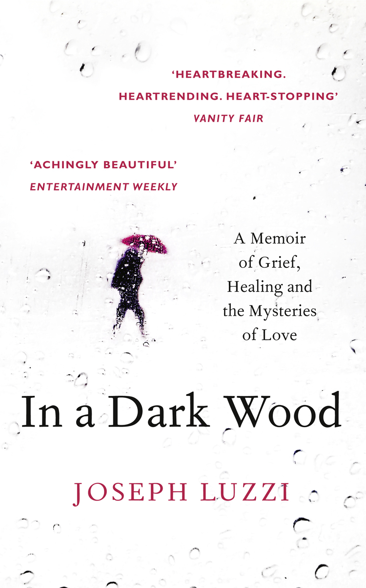 Обложка книги «In a Dark Wood: What Dante Taught Me About Grief, Healing, and the Mysteries of Love»