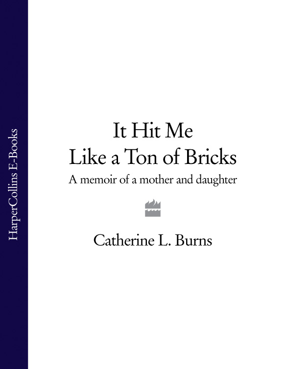 Обложка книги «It Hit Me Like a Ton of Bricks: A memoir of a mother and daughter»