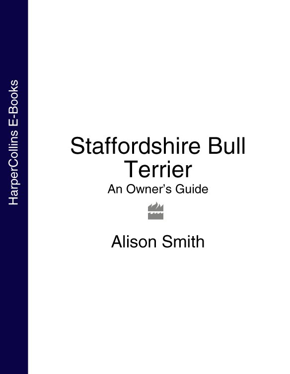 Обложка книги «Staffordshire Bull Terrier: An Owner’s Guide»