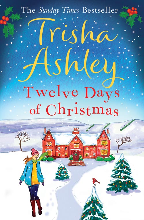 Обложка книги «Twelve Days of Christmas: A bestselling Christmas read to devour in one sitting!»