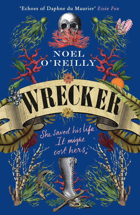 Обложка книги «Wrecker: A gripping debut for fans of Poldark and the Essex Serpent»
