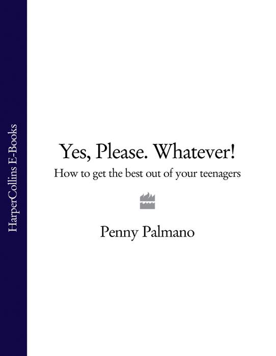 Обложка книги «Yes, Please. Whatever!: How to get the best out of your teenagers»
