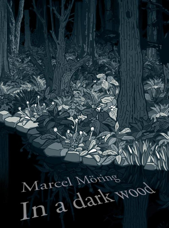 Обложка книги «In A Dark Wood»