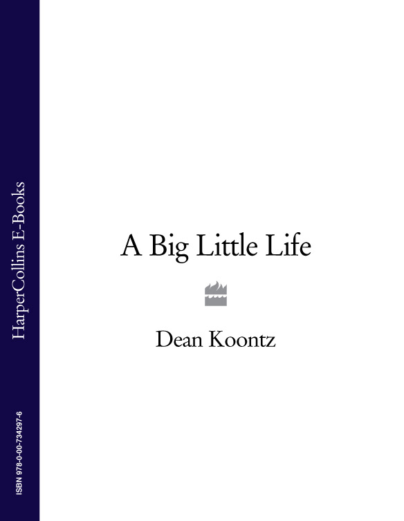 Обложка книги «A Big Little Life»