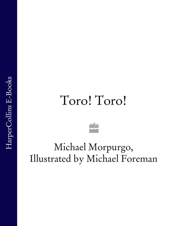 Обложка книги «Toro! Toro!»
