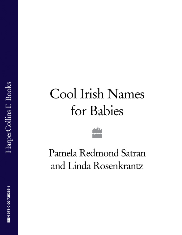 Обложка книги «Cool Irish Names for Babies»