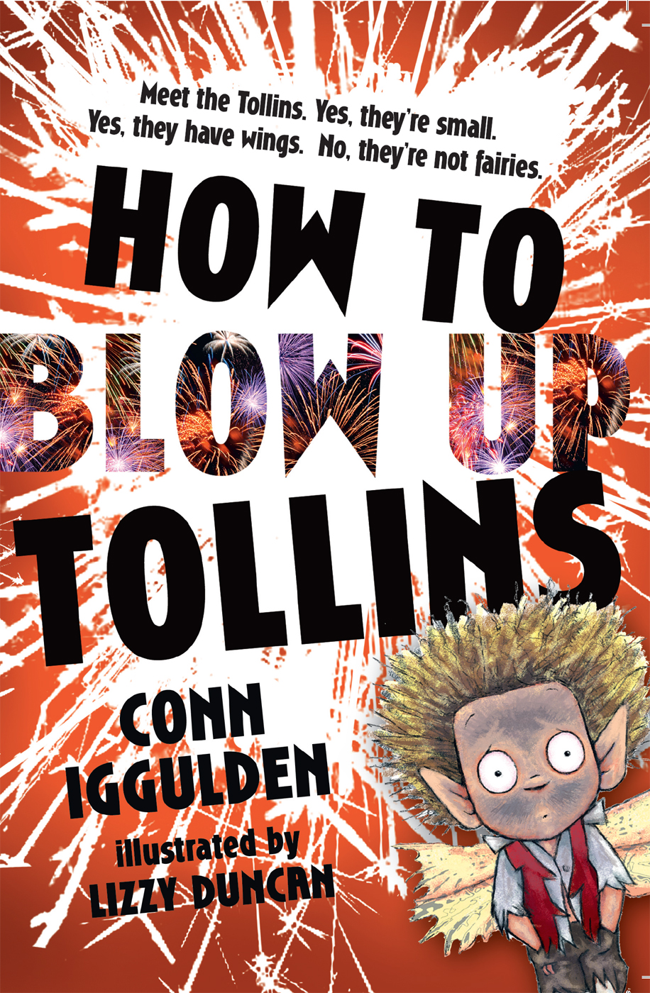 Обложка книги «HOW TO BLOW UP TOLLINS»