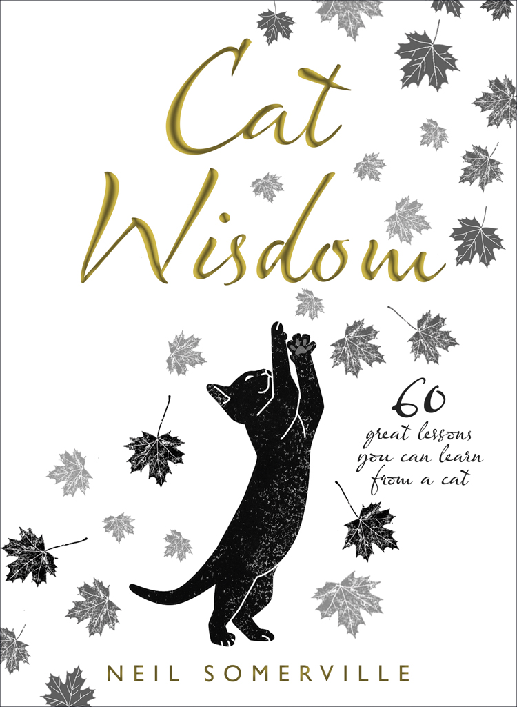Обложка книги «Cat Wisdom: 60 great lessons you can learn from a cat»