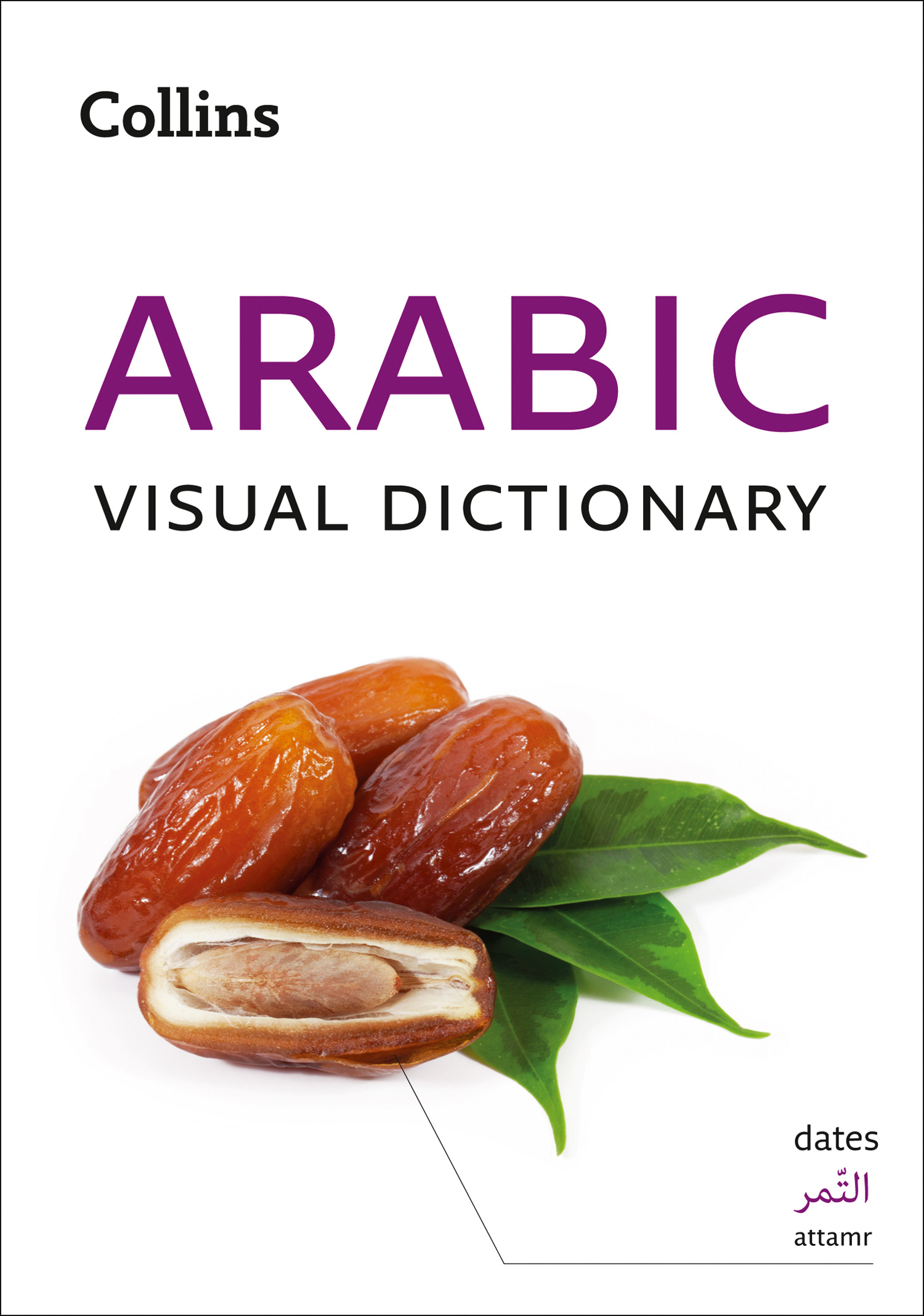 Обложка книги «Collins Arabic Visual Dictionary»