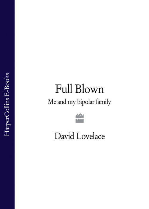 Обложка книги «Full Blown: Me and My Bipolar Family»
