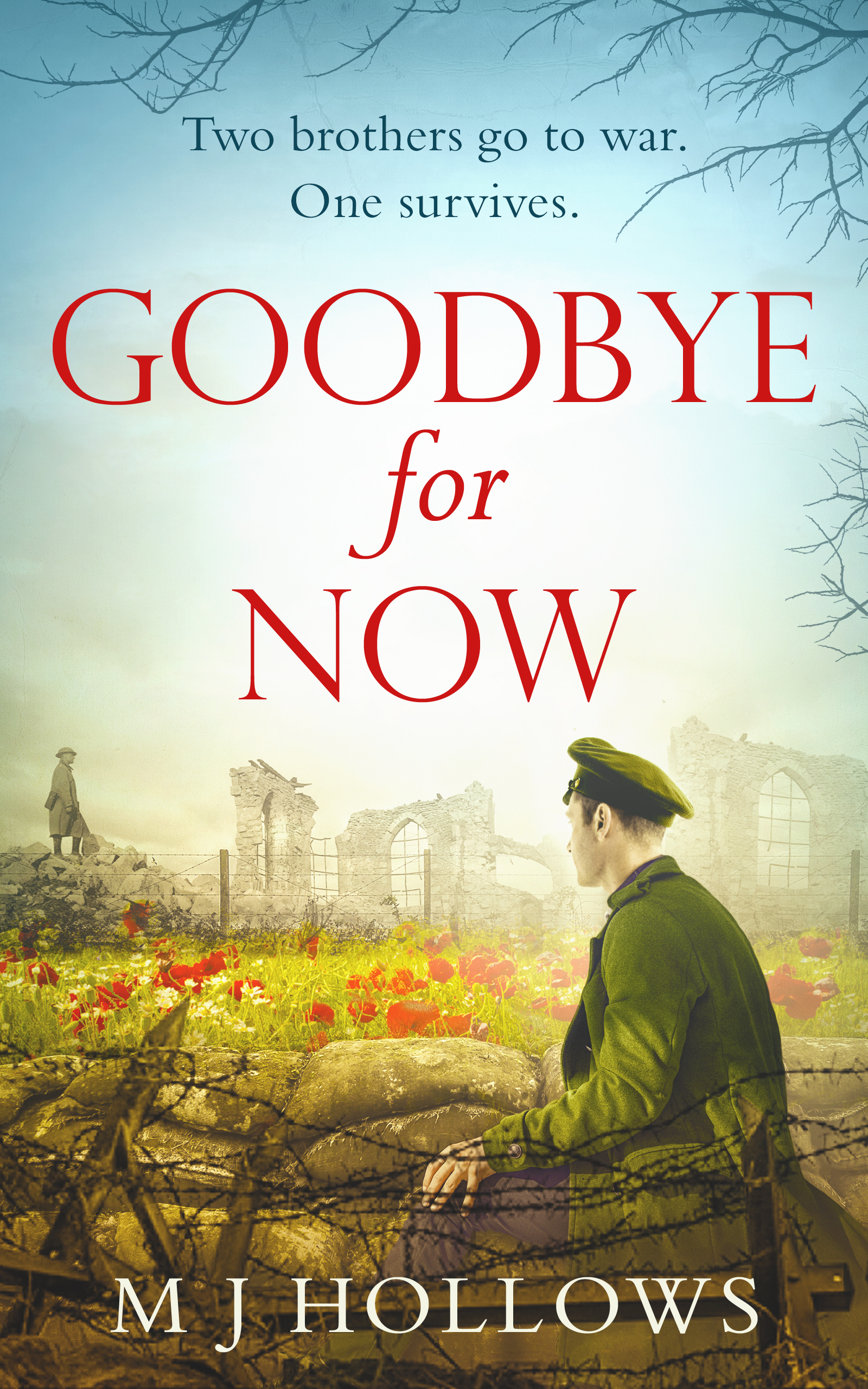 Обложка книги «Goodbye for Now: A breathtaking historical debut»