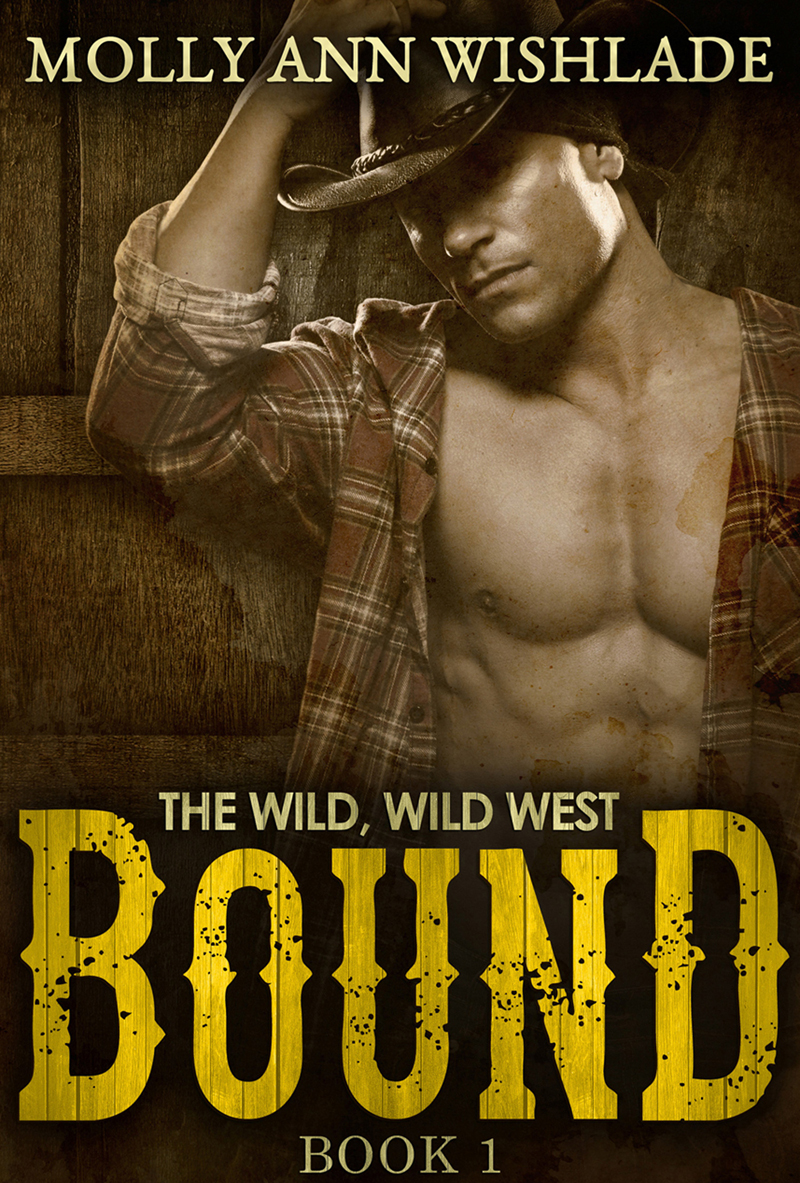 Обложка книги «Bound: A sizzling hot Western romance»