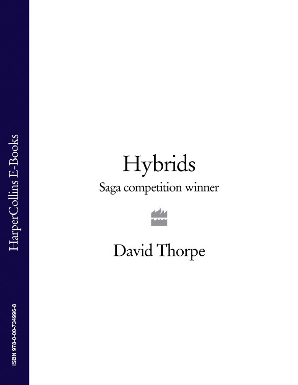 Обложка книги «Hybrids: Saga Competition Winner»