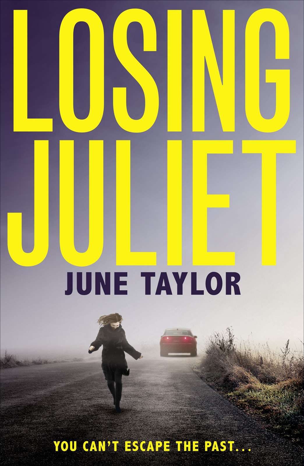 Обложка книги «Losing Juliet: A gripping psychological thriller with twists you won’t see coming»