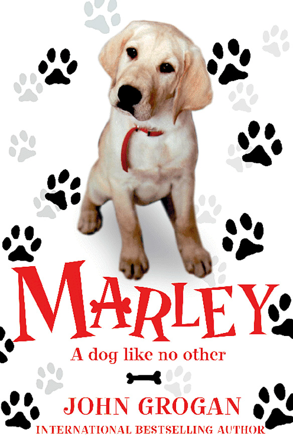 Обложка книги «Marley: A Dog Like No Other»