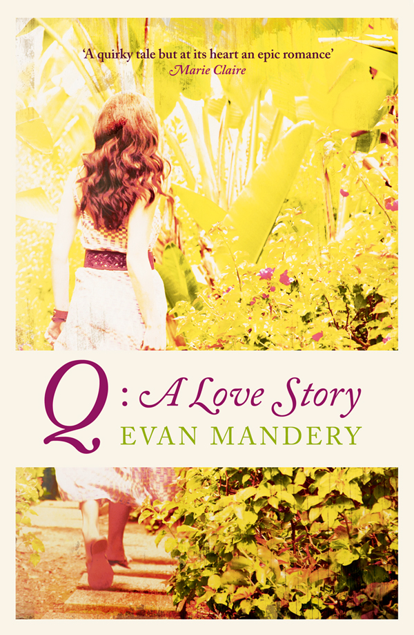 Обложка книги «Q: A Love Story»