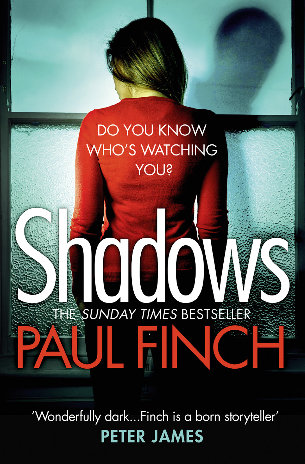 Обложка книги «Shadows: The gripping new crime thriller from the #1 bestseller»