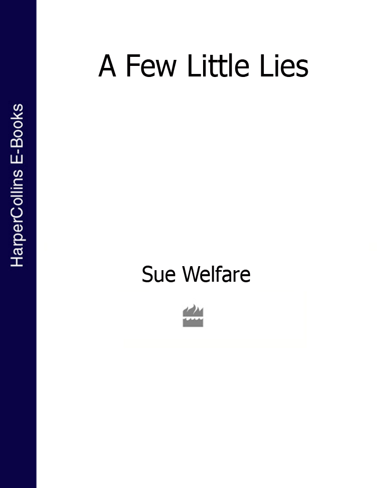 Обложка книги «A Few Little Lies»