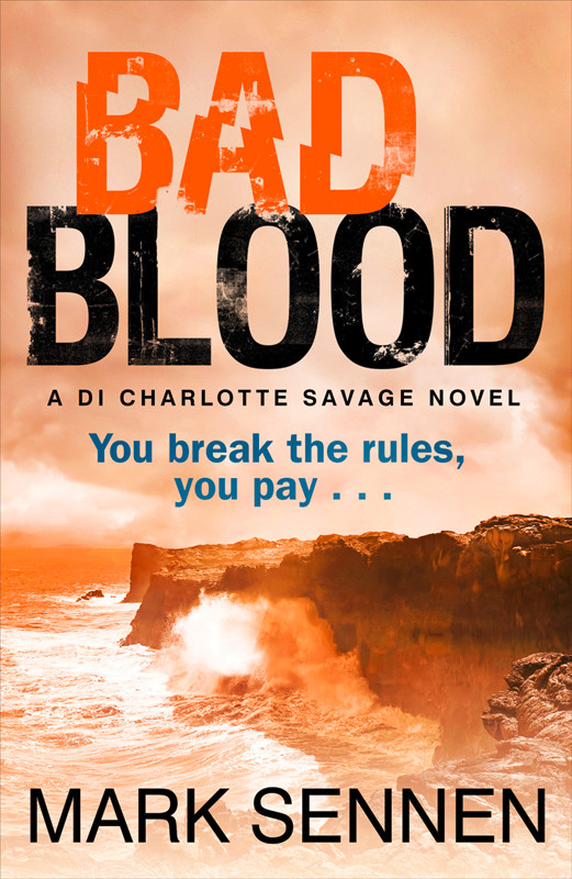 Обложка книги «BAD BLOOD: A DI Charlotte Savage Novel»