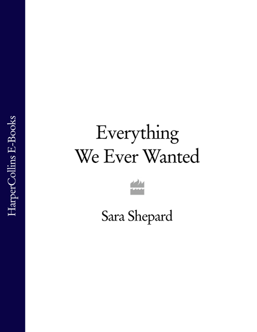 Обложка книги «Everything We Ever Wanted»