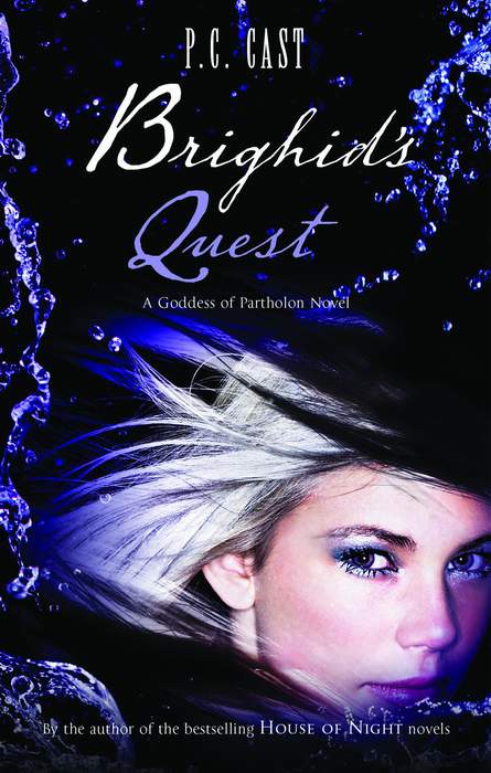 Обложка книги «Brighid's Quest»