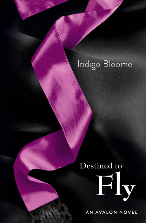 Обложка книги «Destined to Fly»