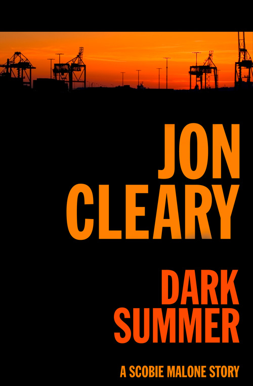 Обложка книги «Dark Summer»